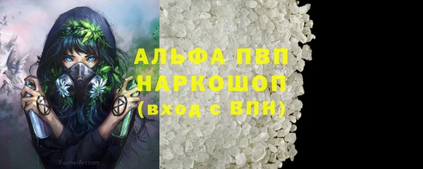 стаф Новозыбков
