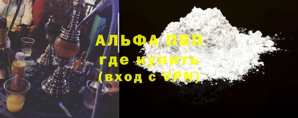 стаф Новозыбков