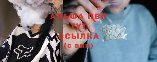стаф Новозыбков