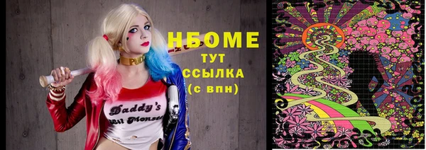 стаф Новозыбков