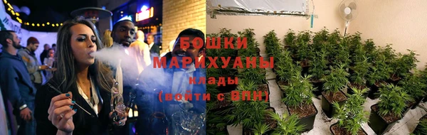 стаф Новозыбков