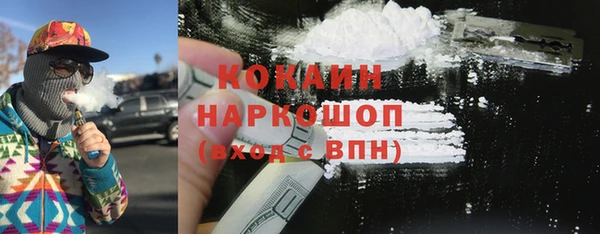 стаф Новозыбков