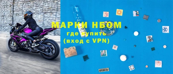 индика Нязепетровск