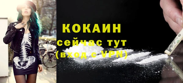 стаф Новозыбков