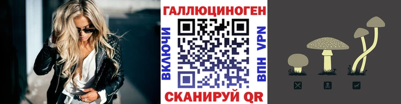 Псилоцибиновые грибы Magic Shrooms  продажа наркотиков  кракен   Озёры 